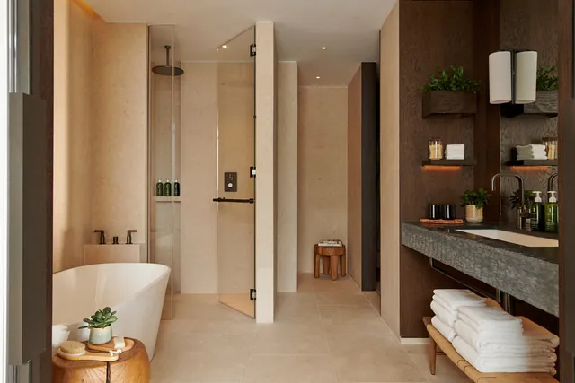 A calm bathroom with a freestanding bathtub and a walk-in shower.