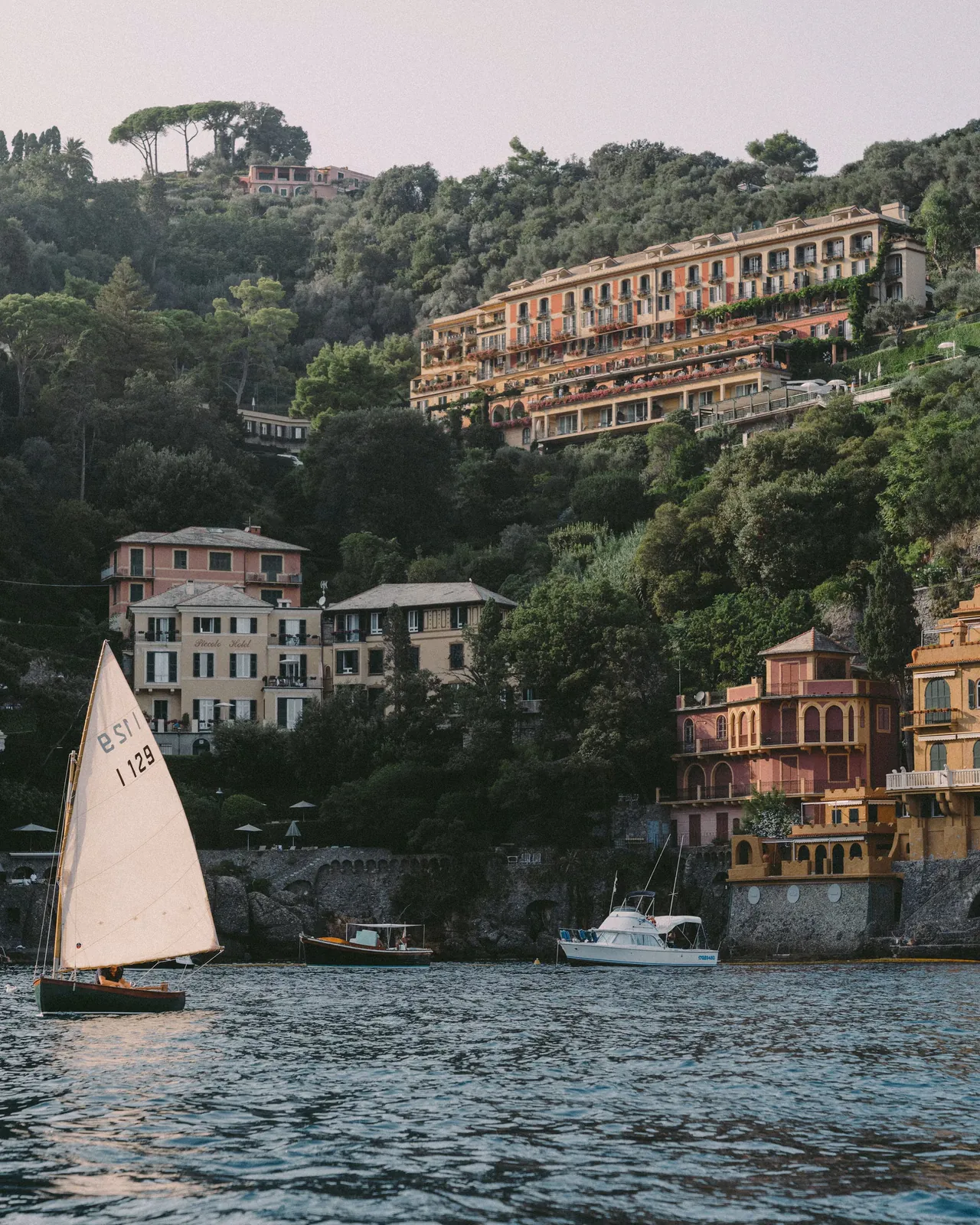 Splendido on the wooded hillside above the harbour, with a sailing boat passing below.