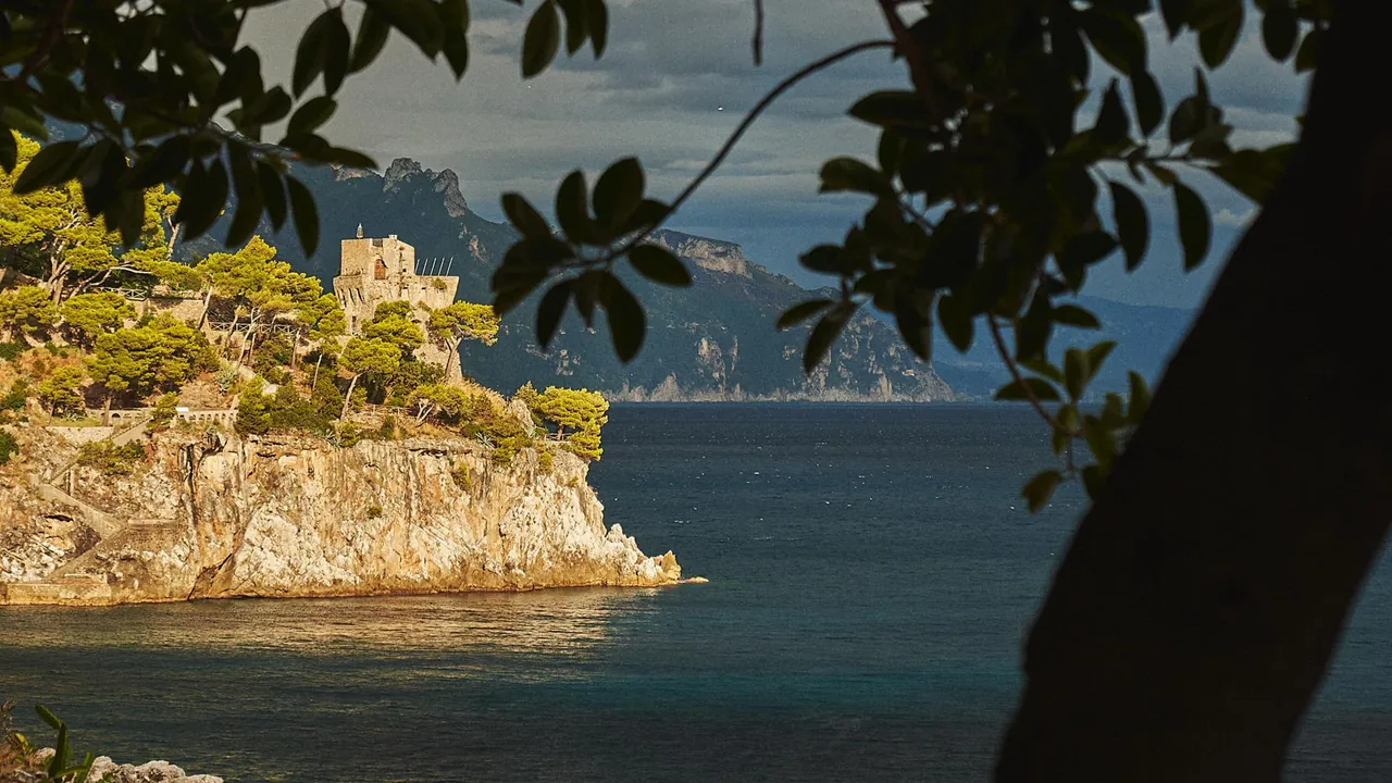 A wooded headland on the coast, seen through pine branches.