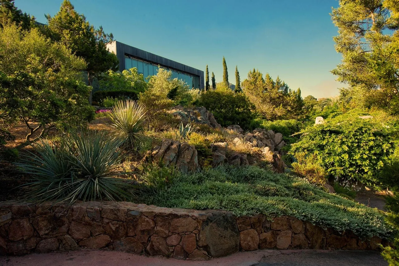 Terraced gardens of Mediterranean shrubs climb towards the low stone and glass hotel building.