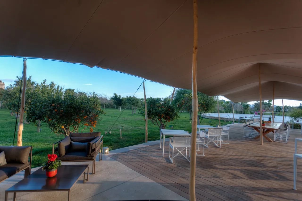 Shaded terrace at Hotel Xereca, Ibiza, under a canvas canopy with lounge sofas, tables and orange trees