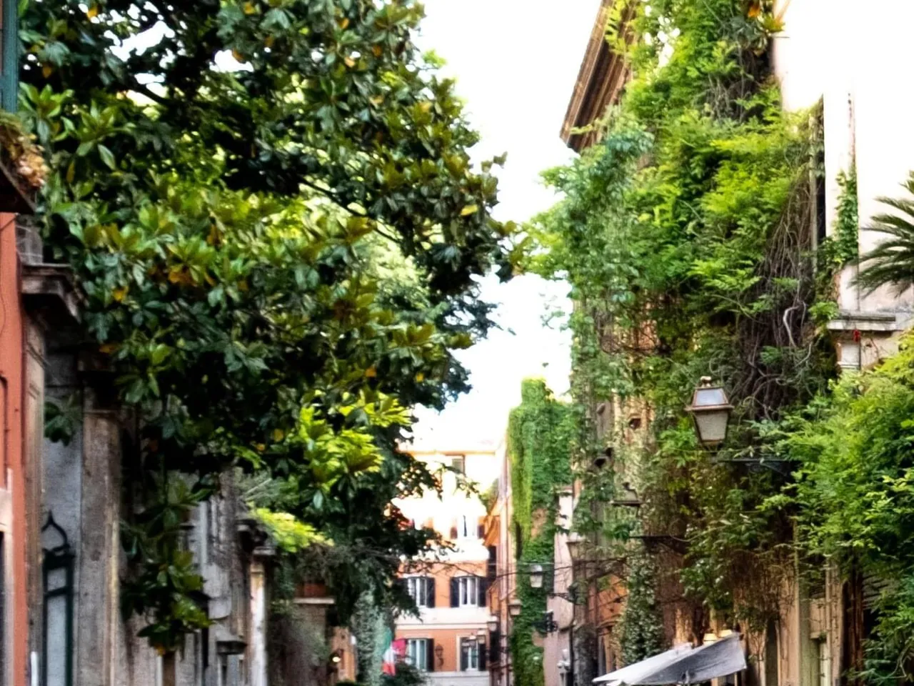Via Margutta lined with trees, ivy and old ochre buildings.