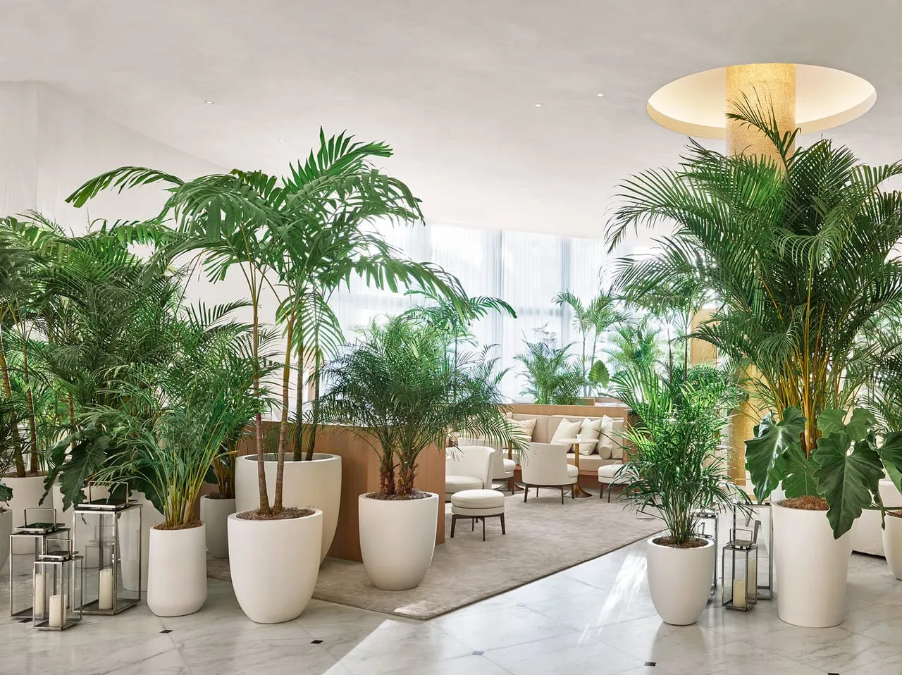 Lobby at The Miami Beach Edition filled with potted palms in white planters around a seating area
