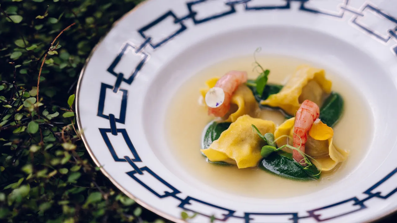 A plate of filled pasta in a light broth with fresh herbs.