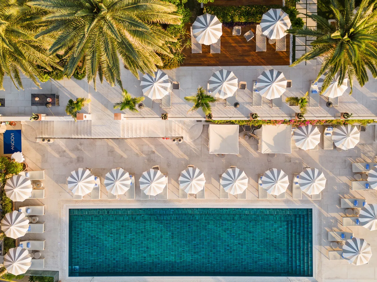 The pool seen from above, edged by rows of white umbrellas and palm trees.